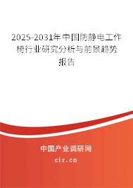 2024-2030年中國(guó)防靜電工作椅行業(yè)研究分析與前景趨勢(shì)報(bào)告