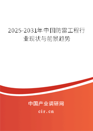 2025-2031年中國防雷工程行業(yè)現(xiàn)狀與前景趨勢