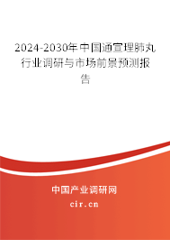 2024-2030年中國通宣理肺丸行業(yè)調(diào)研與市場前景預(yù)測報告