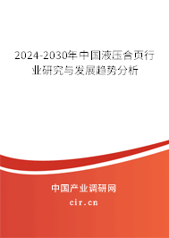 2024-2030年中國液壓合頁行業(yè)研究與發(fā)展趨勢分析