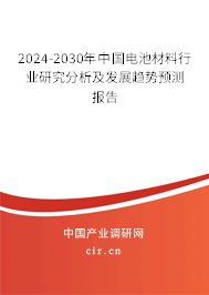 2024-2030年中國電池材料行業(yè)研究分析及發(fā)展趨勢預測報告