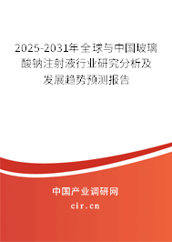 2025-2031年全球與中國玻璃酸鈉注射液行業(yè)研究分析及發(fā)展趨勢預(yù)測報告