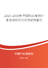 2025-2030年中國電動車輛行業(yè)發(fā)展研究與前景趨勢報(bào)告