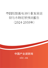 中國鉛酸蓄電池行業(yè)發(fā)展調研與市場前景預測報告（2024-2030年）