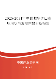 2025-2031年中國數(shù)字礦山市場現(xiàn)狀與發(fā)展前景分析報告