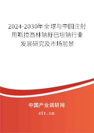 2024-2030年全球與中國(guó)注射用哌拉西林鈉舒巴坦鈉行業(yè)發(fā)展研究及市場(chǎng)前景