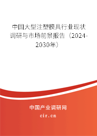 中國大型注塑模具行業(yè)現(xiàn)狀調(diào)研與市場前景報(bào)告（2024-2030年）