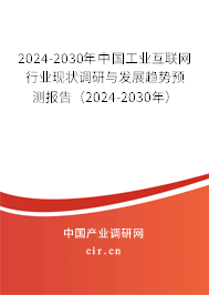 2024-2030年中國工業(yè)互聯(lián)網(wǎng)行業(yè)現(xiàn)狀調(diào)研與發(fā)展趨勢預測報告（2024-2030年）