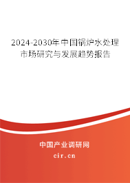 2024-2030年中國鍋爐水處理市場研究與發(fā)展趨勢報告