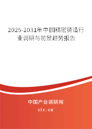 2025-2031年中國精密鑄造行業(yè)調(diào)研與前景趨勢報告