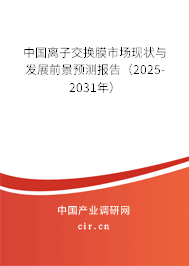 中國離子交換膜市場現(xiàn)狀與發(fā)展前景預測報告（2025-2031年）