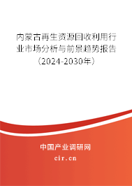 內(nèi)蒙古再生資源回收利用行業(yè)市場分析與前景趨勢報告（2024-2030年）