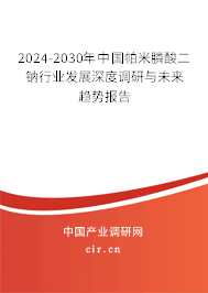 2024-2030年中國(guó)帕米膦酸二鈉行業(yè)發(fā)展深度調(diào)研與未來(lái)趨勢(shì)報(bào)告