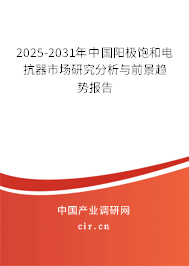 2025-2031年中國(guó)陽極飽和電抗器市場(chǎng)研究分析與前景趨勢(shì)報(bào)告