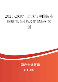 2025-2030年全球與中國(guó)智能胸罩市場(chǎng)分析及前景趨勢(shì)預(yù)測(cè)