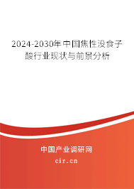 2024-2030年中國焦性沒食子酸行業(yè)現(xiàn)狀與前景分析