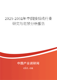 2025-2031年中國接插線行業(yè)研究與前景分析報告