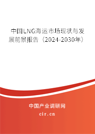 中國(guó)LNG海運(yùn)市場(chǎng)現(xiàn)狀與發(fā)展前景報(bào)告（2024-2030年）