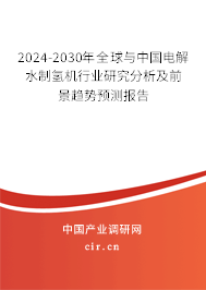 2024-2030年全球與中國電解水制氫機行業(yè)研究分析及前景趨勢預測報告