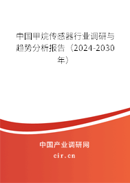 中國甲烷傳感器行業(yè)調(diào)研與趨勢分析報(bào)告（2024-2030年）