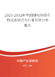 2025-2031年中國(guó)鋰電隔膜市場(chǎng)調(diào)查研究與行業(yè)前景分析報(bào)告