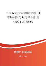 中國雙向拉伸聚酯薄膜行業(yè)市場調(diào)研與趨勢預測報告（2024-2030年）