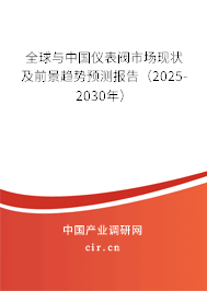 全球與中國(guó)儀表閥市場(chǎng)現(xiàn)狀及前景趨勢(shì)預(yù)測(cè)報(bào)告（2025-2030年）