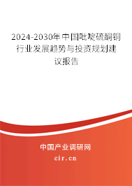 2024-2030年中國(guó)吡啶硫酮銅行業(yè)發(fā)展趨勢(shì)與投資規(guī)劃建議報(bào)告