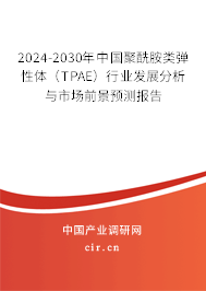 2024-2030年中國聚酰胺類彈性體（TPAE）行業(yè)發(fā)展分析與市場前景預(yù)測報(bào)告