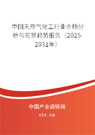 中國(guó)天然氣化工行業(yè)市場(chǎng)分析與前景趨勢(shì)報(bào)告（2024-2030年）