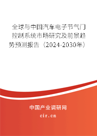 全球與中國汽車電子節(jié)氣門控制系統(tǒng)市場研究及前景趨勢預(yù)測報(bào)告（2024-2030年）