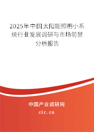 2025年中國太陽能照明小系統(tǒng)行業(yè)發(fā)展調(diào)研與市場前景分析報(bào)告