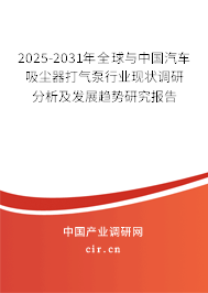 2025-2031年全球與中國汽車吸塵器打氣泵行業(yè)現(xiàn)狀調(diào)研分析及發(fā)展趨勢研究報告