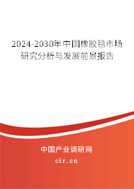 2024-2030年中國(guó)橡膠毯市場(chǎng)研究分析與發(fā)展前景報(bào)告