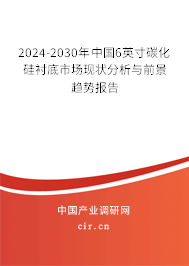 2024-2030年中國6英寸碳化硅襯底市場現(xiàn)狀分析與前景趨勢報告