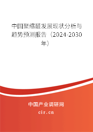 中國聚縮醛發(fā)展現(xiàn)狀分析與趨勢預(yù)測報(bào)告（2024-2030年）