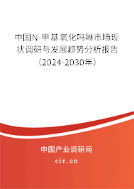 中國N-甲基氧化嗎啉市場現(xiàn)狀調(diào)研與發(fā)展趨勢分析報告（2024-2030年）