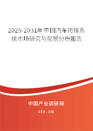 2025-2031年中國汽車防撞系統市場研究與前景分析報告