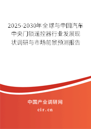 2025-2030年全球與中國汽車中央門鎖遙控器行業(yè)發(fā)展現(xiàn)狀調(diào)研與市場前景預(yù)測報告