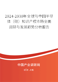 2024-2030年全球與中國半導(dǎo)體（硅）知識產(chǎn)權(quán)市場全面調(diào)研與發(fā)展趨勢分析報告