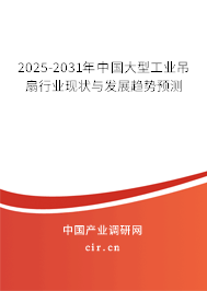 2024-2030年中國大型工業(yè)吊扇行業(yè)現(xiàn)狀與發(fā)展趨勢預(yù)測