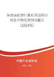 陜西省能源行業(yè)現(xiàn)狀調(diào)研分析及市場前景預(yù)測報(bào)告（2024版）