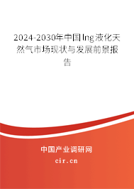 2024-2030年中國(guó)lng液化天然氣市場(chǎng)現(xiàn)狀與發(fā)展前景報(bào)告