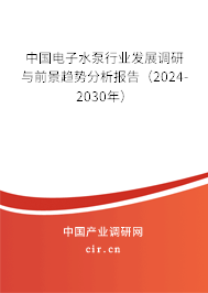 中國電子水泵行業(yè)發(fā)展調研與前景趨勢分析報告（2024-2030年）