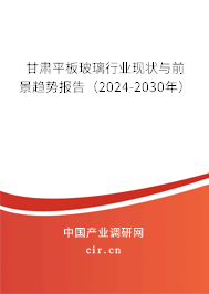 甘肅平板玻璃行業(yè)現(xiàn)狀與前景趨勢報告（2024-2030年）