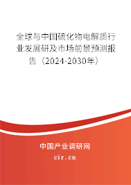 全球與中國硫化物電解質(zhì)行業(yè)發(fā)展研及市場前景預測報告（2024-2030年）