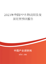 2023年中國PP市場調(diào)研及發(fā)展前景預(yù)測報告