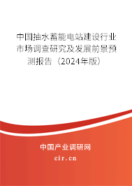 中國(guó)抽水蓄能電站建設(shè)行業(yè)市場(chǎng)調(diào)查研究及發(fā)展前景預(yù)測(cè)報(bào)告（2024年版）