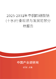 2025-2031年中國(guó)四硼酸鈉(十水)行業(yè)現(xiàn)狀與發(fā)展前景分析報(bào)告