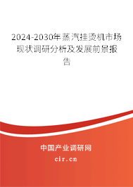 2024-2030年蒸汽掛燙機(jī)市場現(xiàn)狀調(diào)研分析及發(fā)展前景報(bào)告